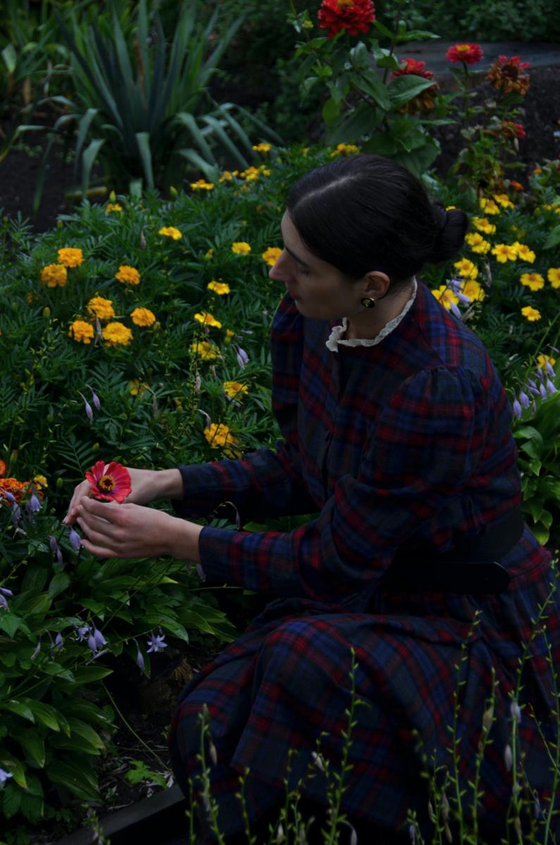 planting flowers